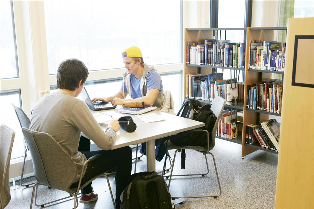 Klikk for stort bilde