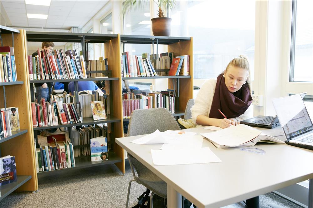 Klikk for stort bilde