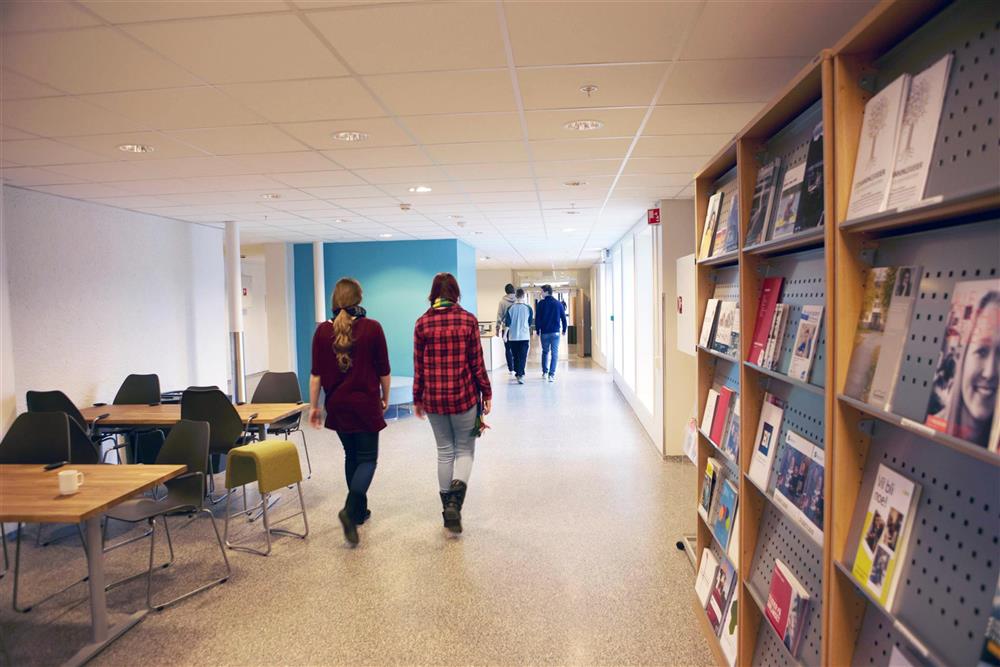 Klikk for stort bilde